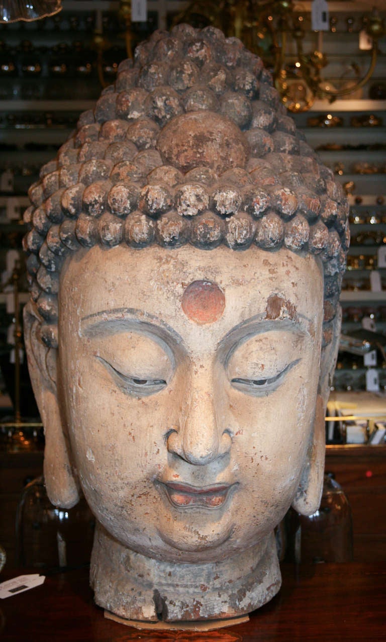A Chinese wood and gesso coloured head of a Buddha retaining some of the original colour,  Shanxi province, 19th century.

Please note we are members of LAPADA and CINOA.

