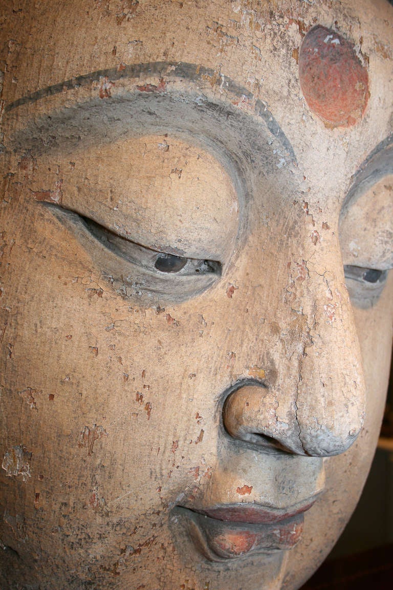 Wood Large 19th century Chinese Polychrome head of the Lord Buddha For Sale