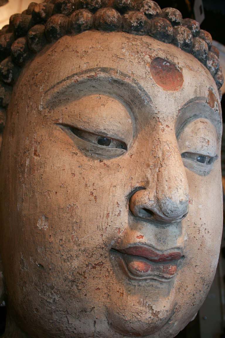 Large 19th century Chinese Polychrome head of the Lord Buddha For Sale 1