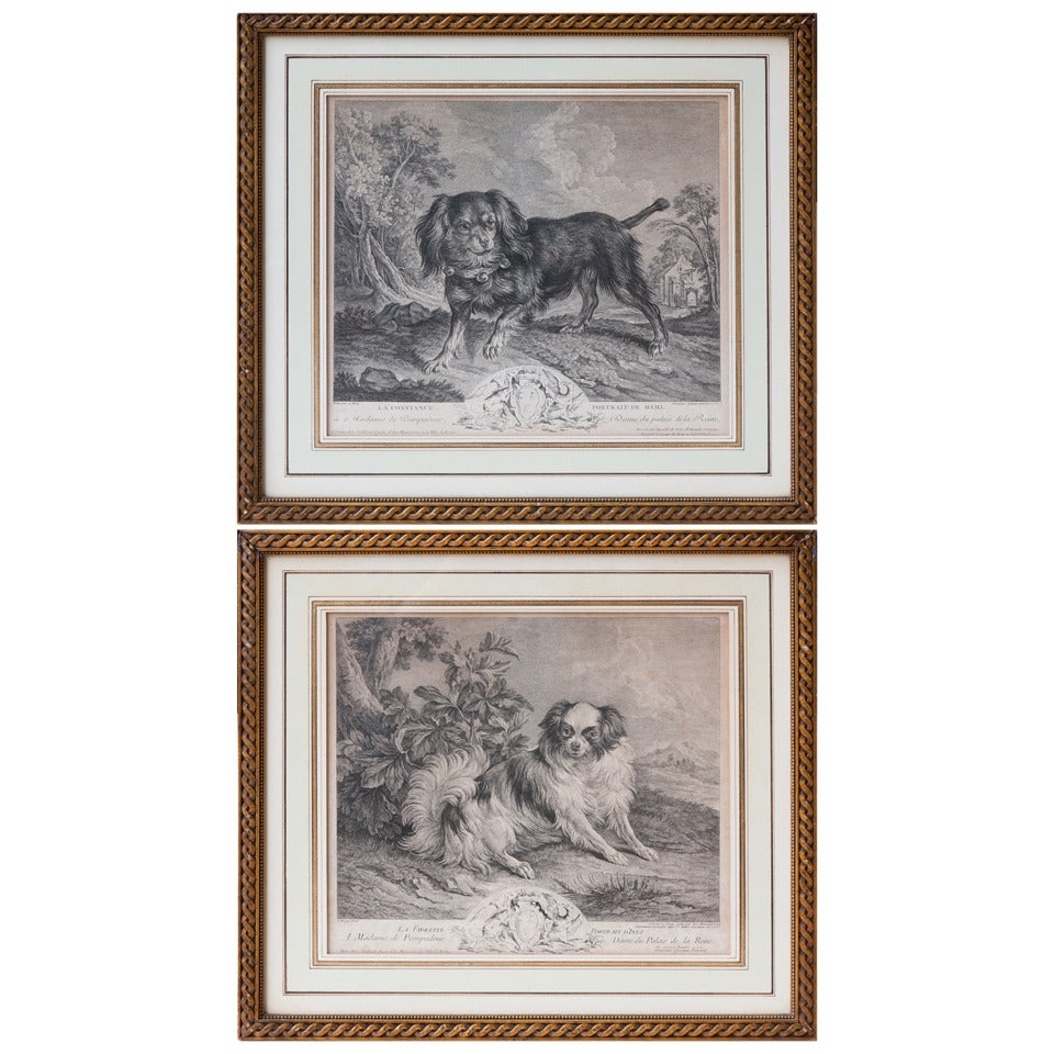 An 18th Century Pair Of Engravings Of Madame De Pompadour's dogs