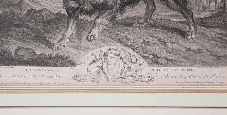 French An 18th Century Pair Of Engravings Of Madame De Pompadour's dogs