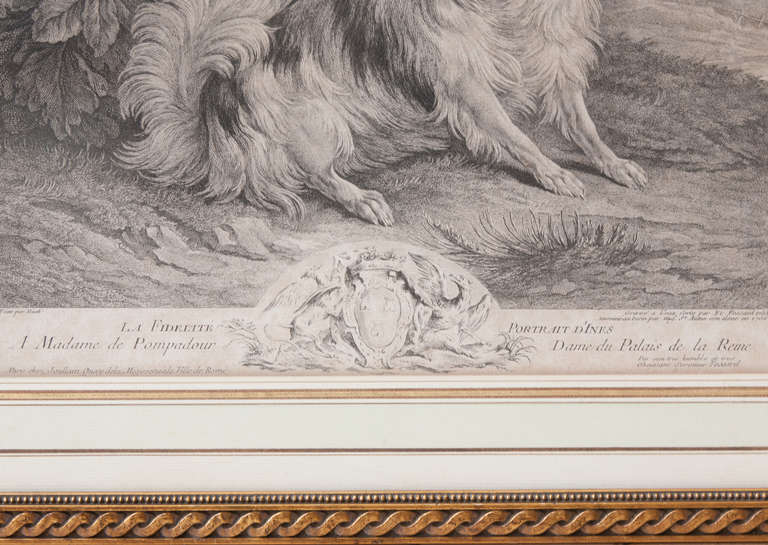 18th Century and Earlier An 18th Century Pair Of Engravings Of Madame De Pompadour's dogs