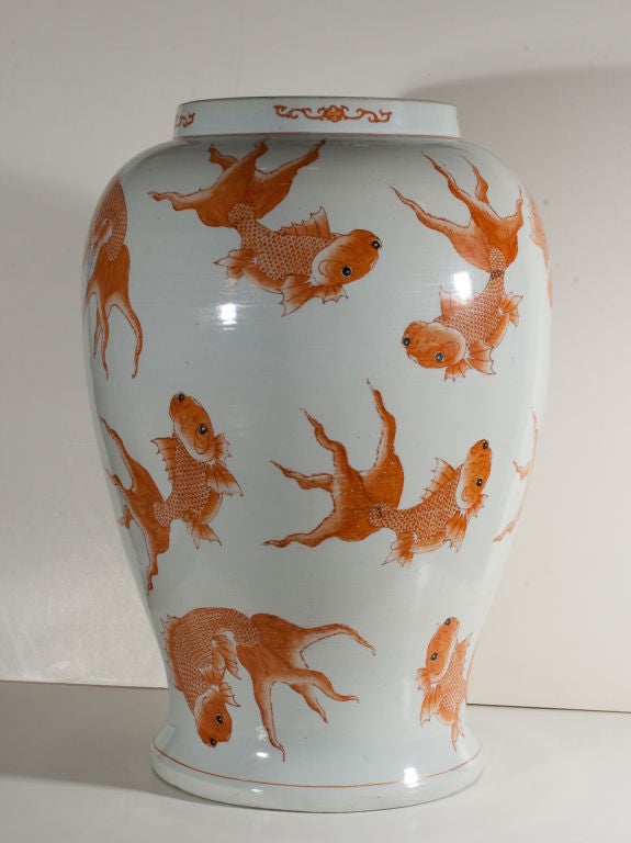 Large Baluster Chinese Vase glazed in white decorated with numerous  goldfish. Late 19th century.