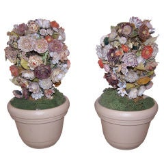 Pair of Shell Topiaries