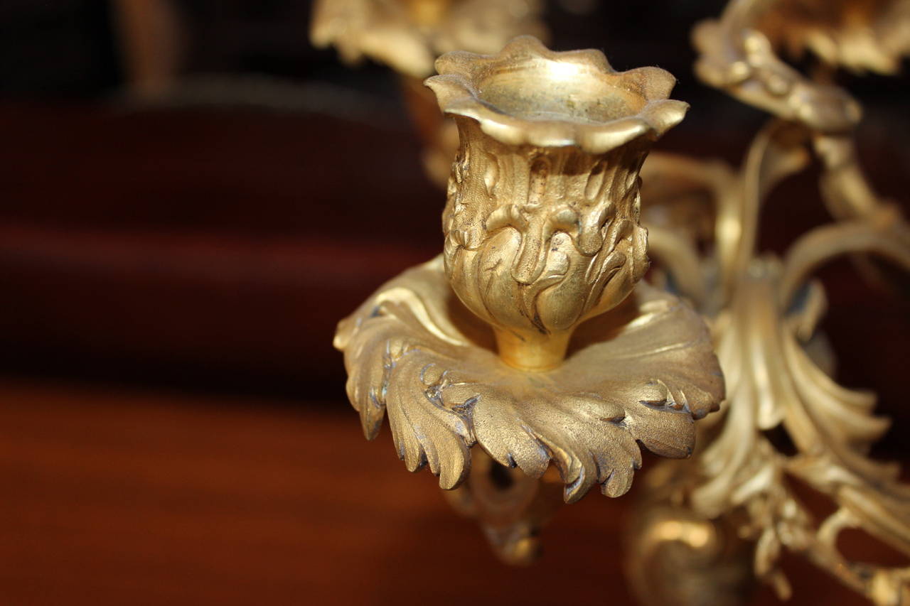 Pair of French Gilt Bronze Candelabras In Good Condition For Sale In Washington, DC