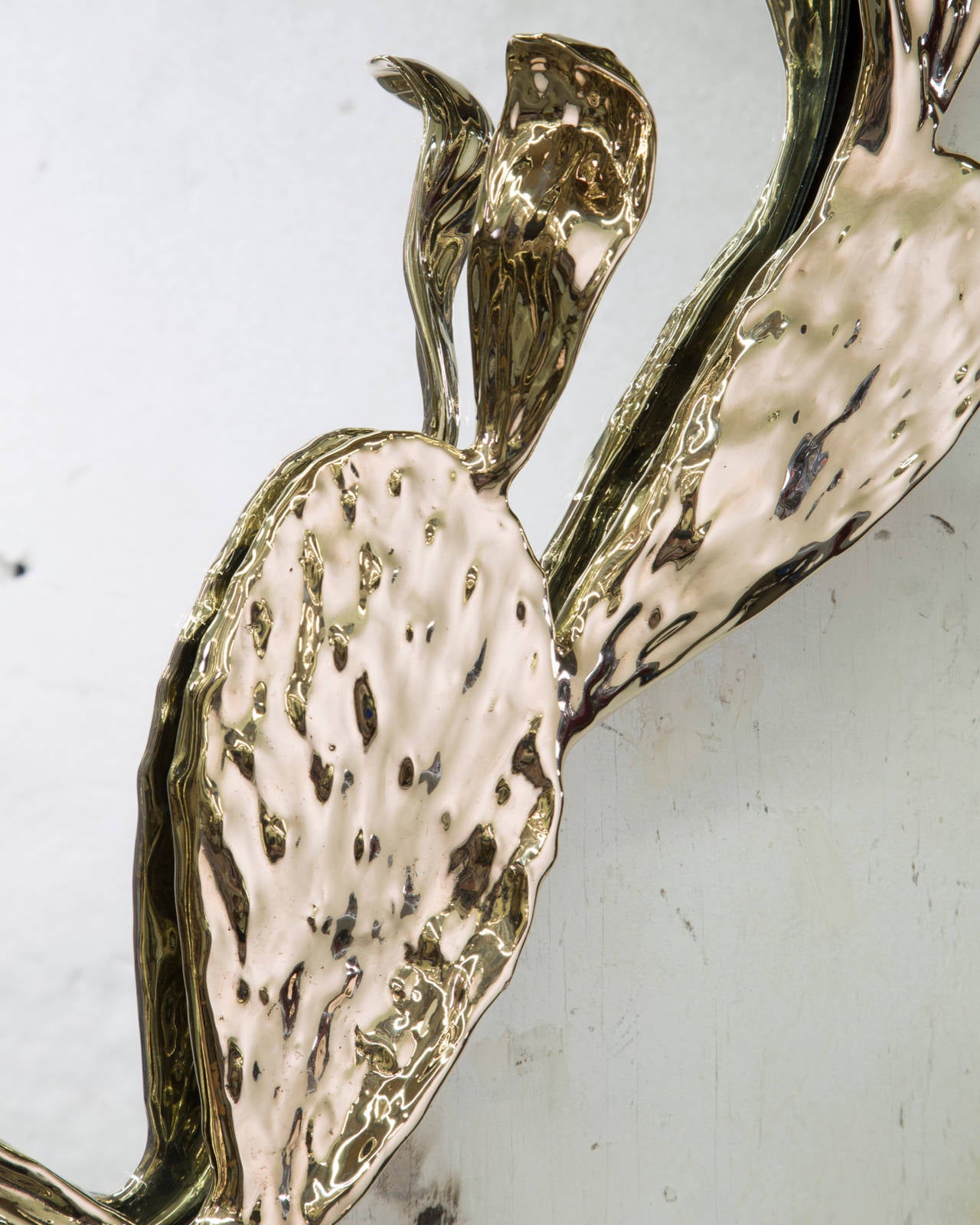 Contemporary Unique Nopales Wall Mirror in Bronze by David Wiseman, American, 2015
