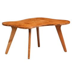 Organically Shaped Side Table By Jose Zanine