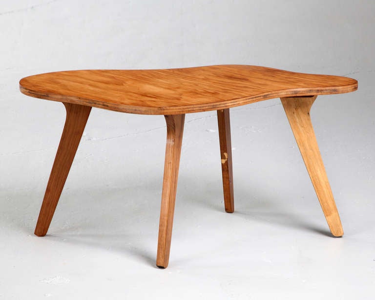 Organically Shaped Side Table By Jose Zanine
