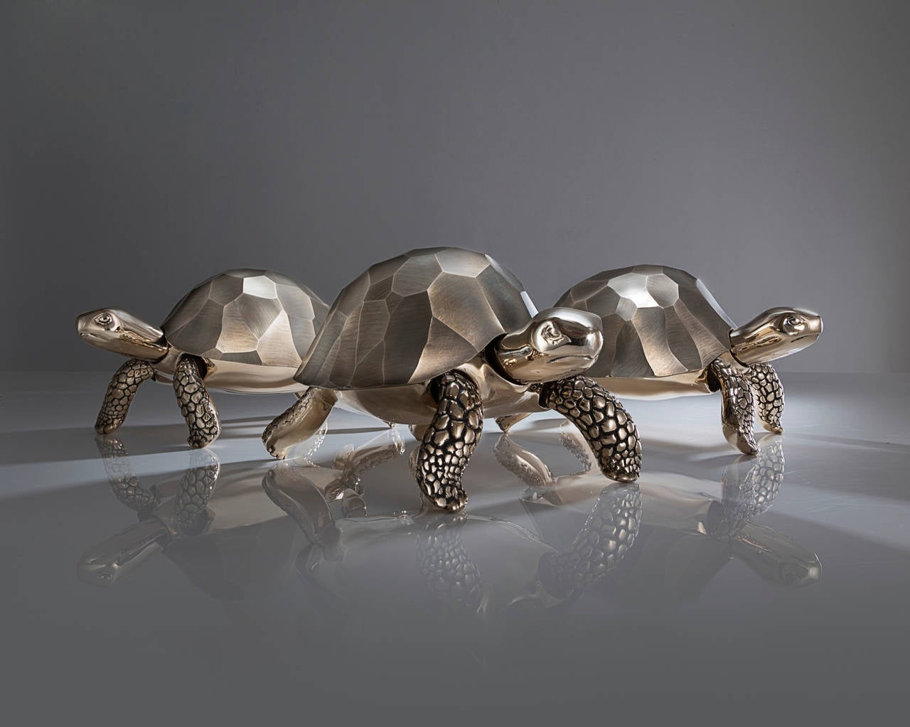 Unique Bronze Turtle Box by David Wiseman, 2014 1