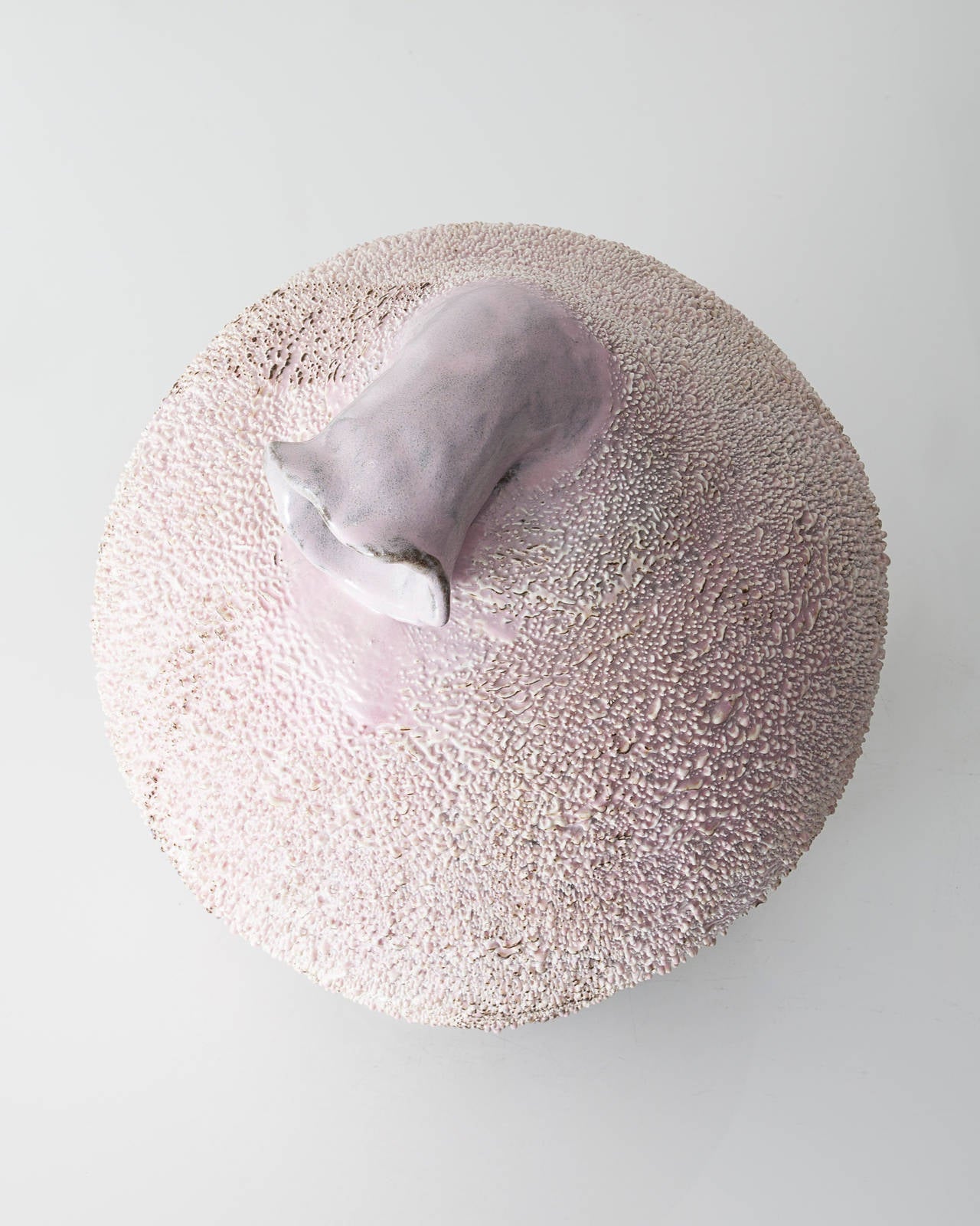 Glazed Unique Accretion with Porcelain Slip by the Haas Brothers