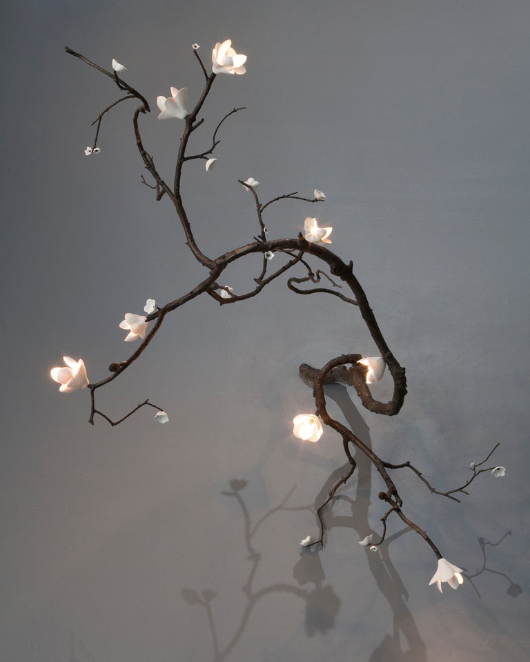 david wiseman lighting