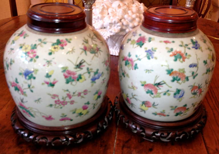 Other Pair of 19th Century Chinese Porcelain Ginger Jars