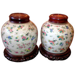 Pair of 19th Century Chinese Porcelain Ginger Jars