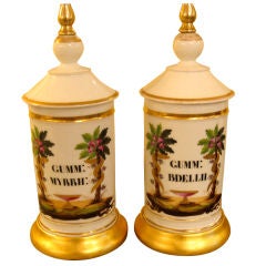 Pair of 19th Century English Apothecary Jars as Lamps
