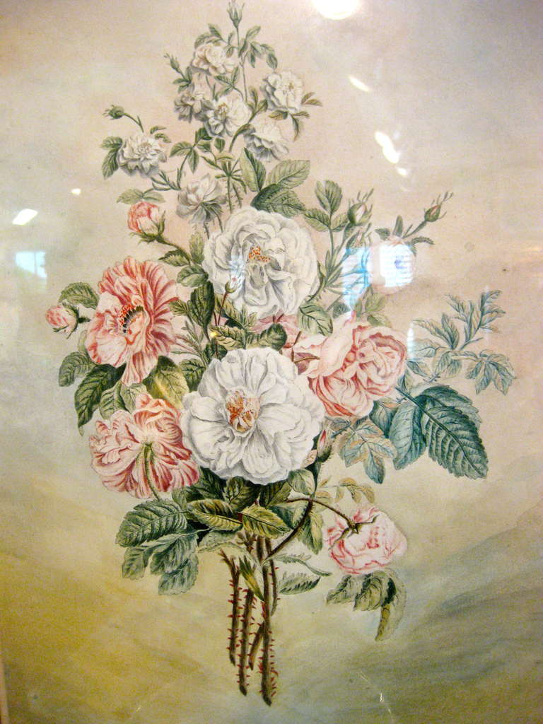 Pair of Dutch 18th Century Floral Watercolors of Roses and Carnations In Excellent Condition In Southampton, NY