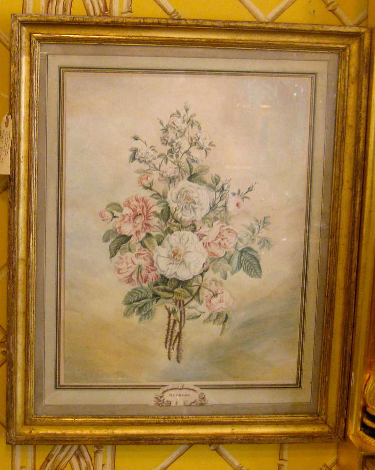 Pair of Dutch 18th Century Watercolors of Roses and Carnations by Hendrik Reekers  
Estate of Sister Parish