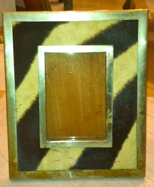 19th Century Zebra and Silver Plate Frame