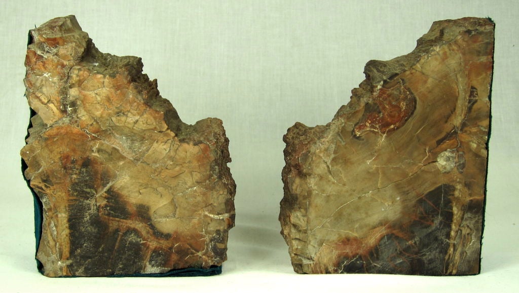 PAIR OF POLISHED PETRIFIED WOOD GEODE FOSSIL BOOKENDS