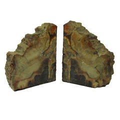 PAIR OF POLISHED PETRIFIED WOOD GEODE FOSSIL BOOKENDS