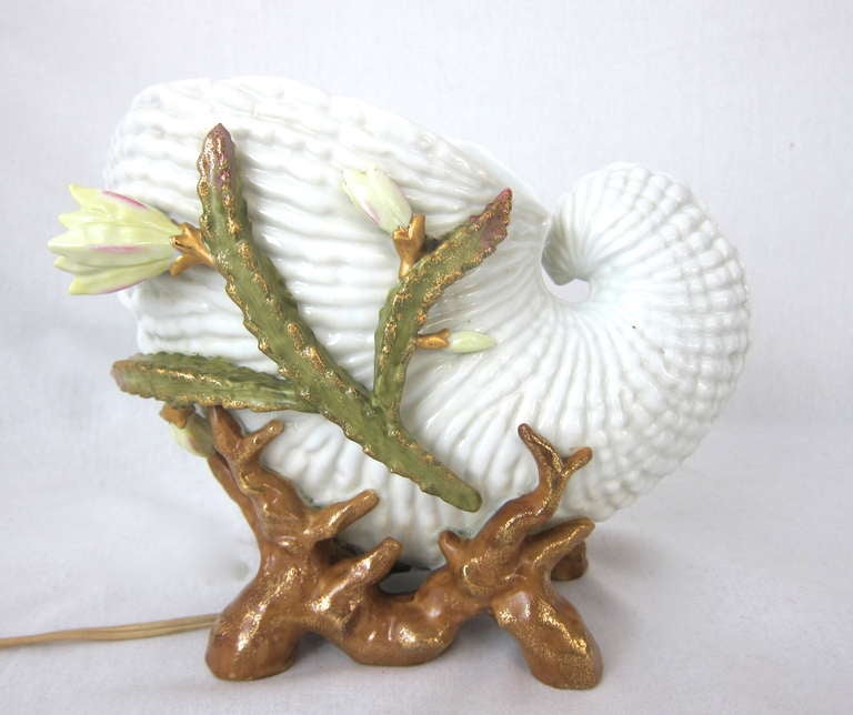 This is a gorgeous antique  white porcelain Nautilus  Sea Shell lamp with gold flecked  flowering seaweed  and brown coral lamp. Stunning! 

11