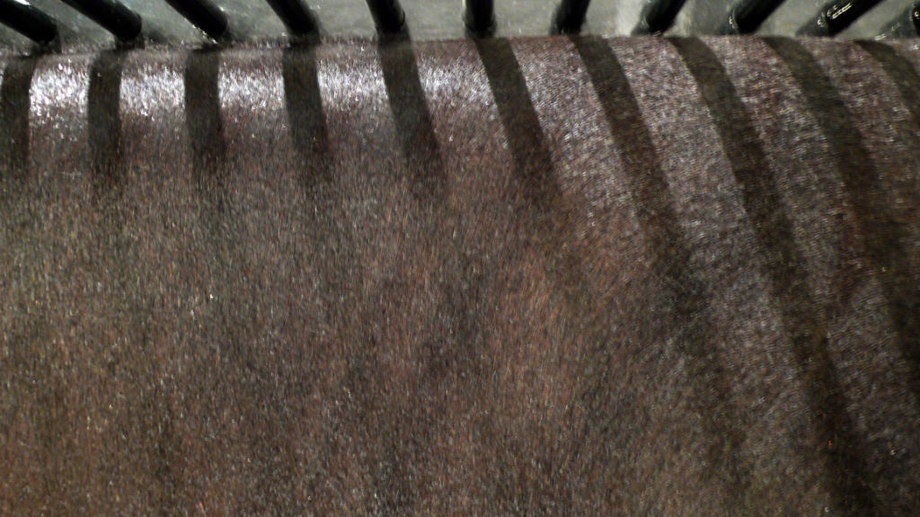 Wood Sixteen Davis Allen Chairs