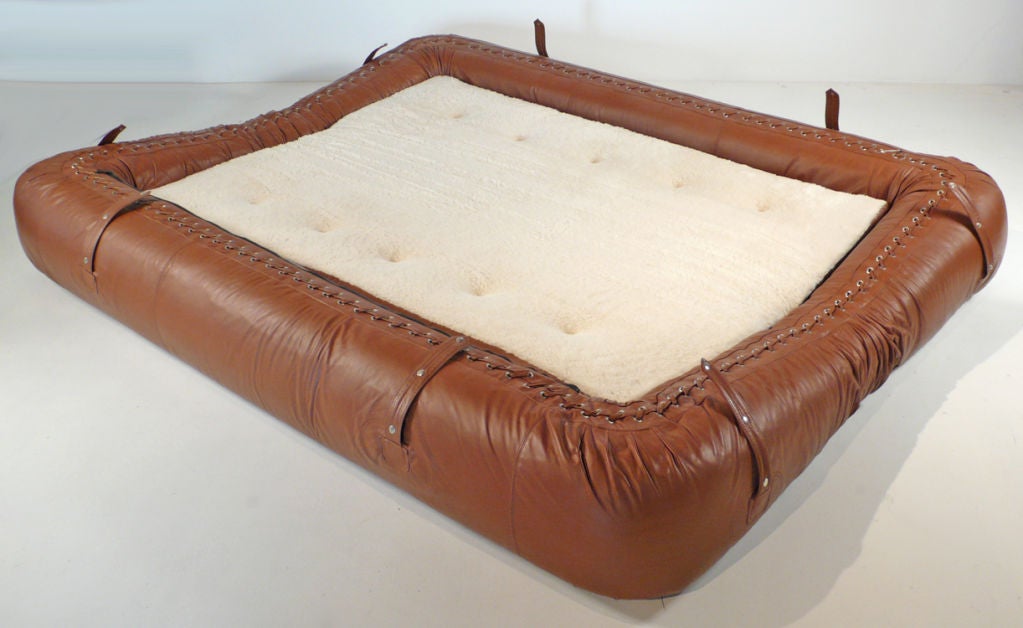 Leather Anfibio Sofa