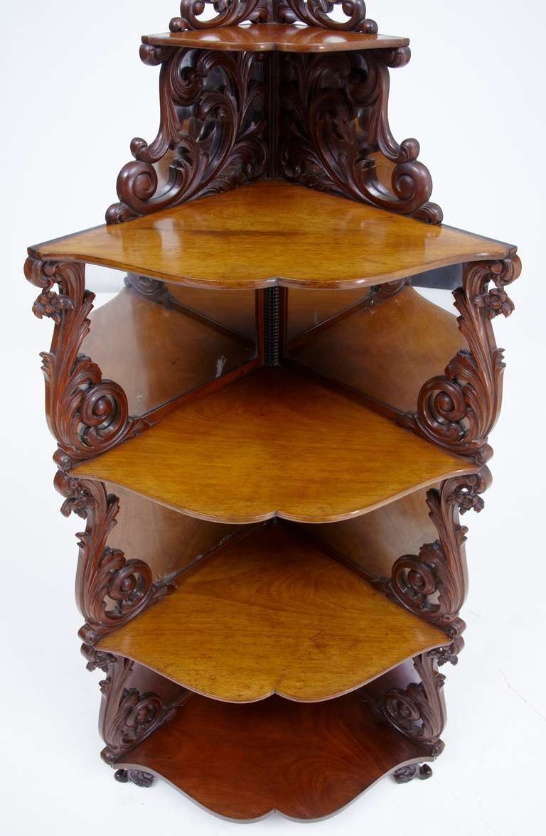 English 19th Century Carved Mahogany Victorian Whatnot