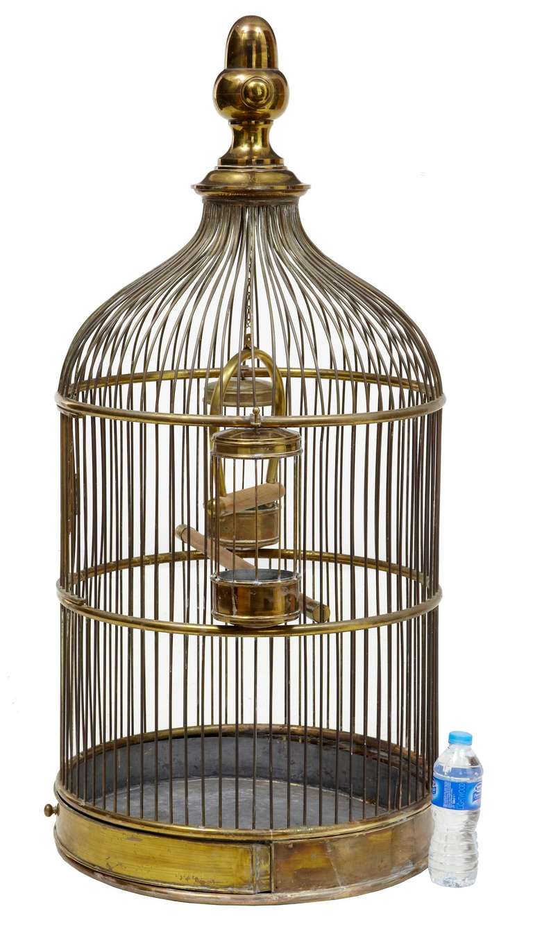 Here We Have A Rare Large Late Victorian Birdcage Circa 1890.

All In Original Condition, Featuring A Horse Shoe Perch, 2 Feeding Sections. Removable Tray. Very Rare To Find Items Of This Quality And Scale.

Bottle Showing Scale In
