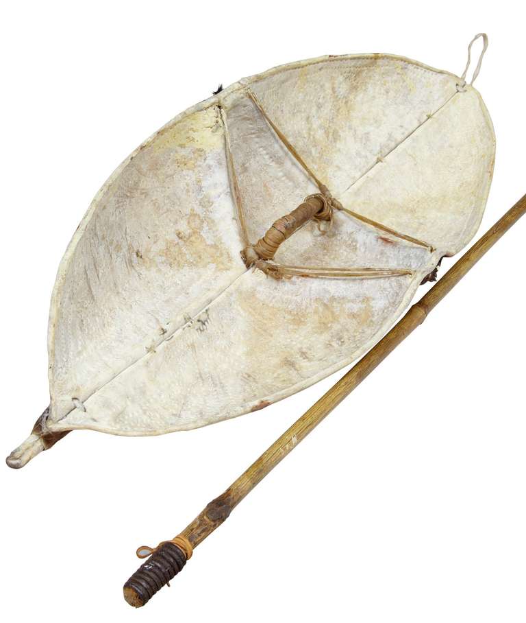 Here We Have An African Shield And Spear Which Is Ideal For Decorative Purposes. Skin Shield With Woven Handle. 

African