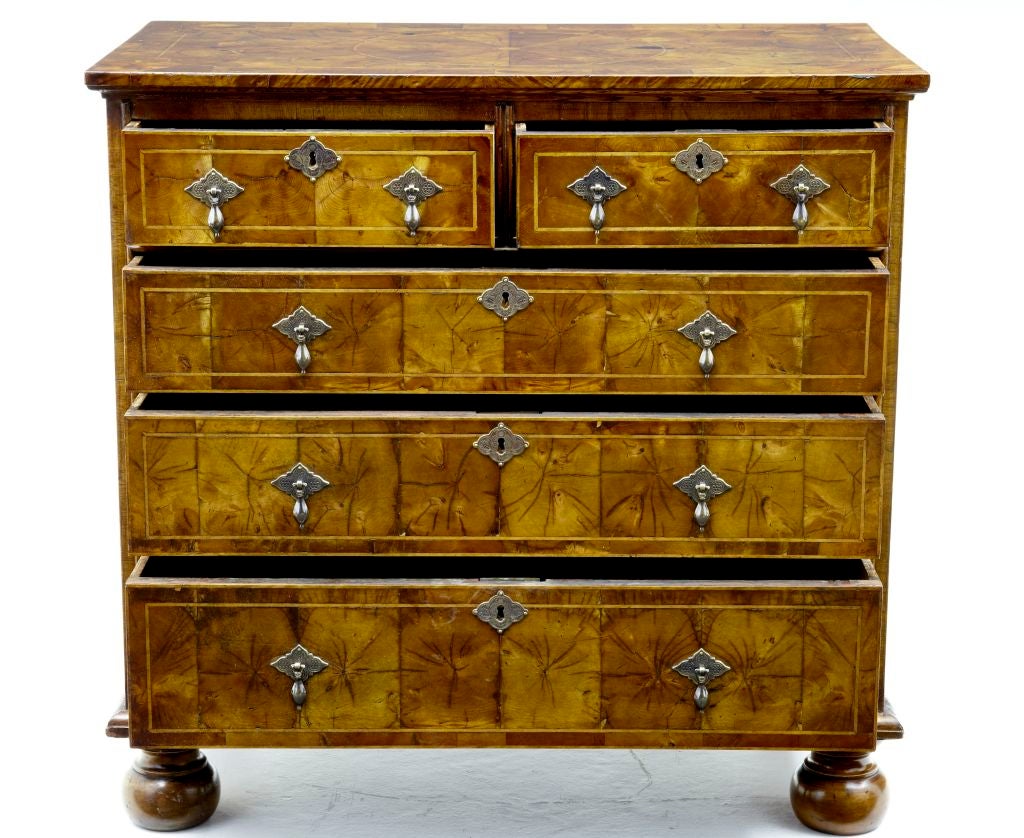 19TH CENTURY OYSTER WOOD CHEST OF DRAWERS ON BUN FEET
