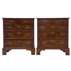 Pair of Small Walnut Five-Drawer Chest of Drawers