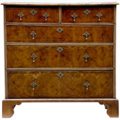 19th Century Antique Oysterwood Chest Of Drawers