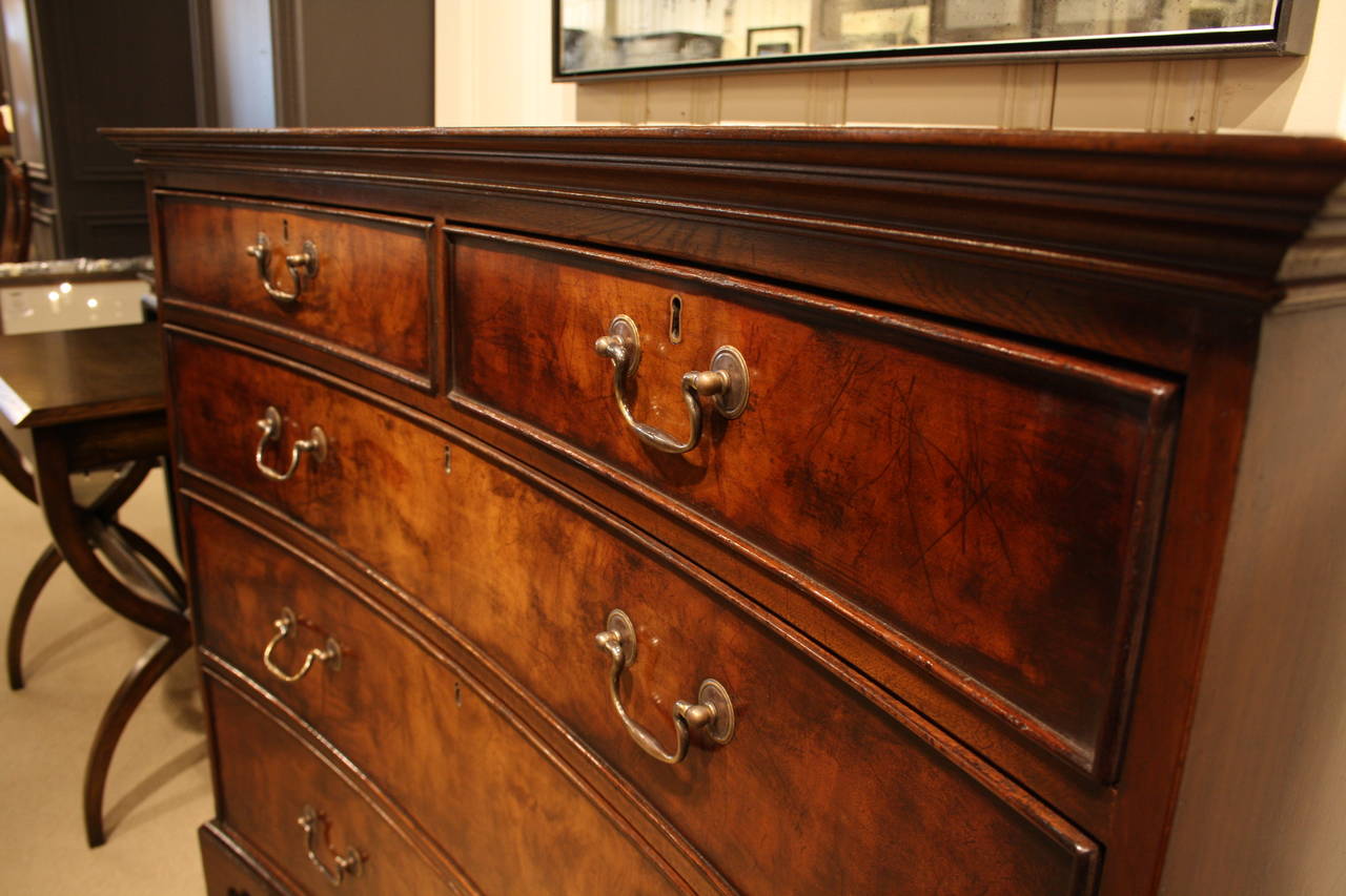 Georgian Chatsworth Concave Chest in Faded Mahogany