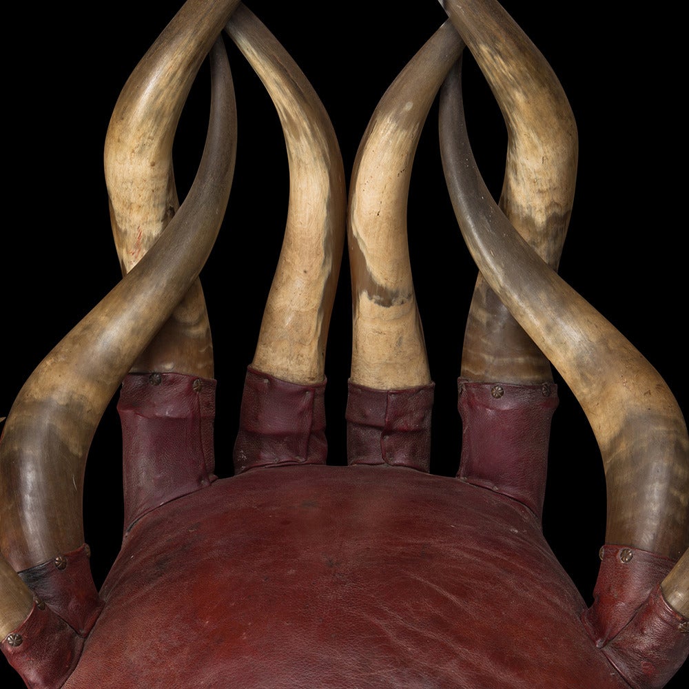 Horn Leather Chair at 1stdibs