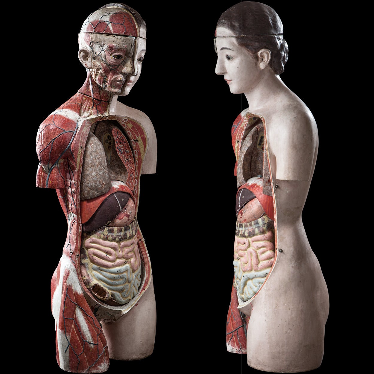 Wonderful classroom model demonstrating the female anatomy. 

Made in occupied Japan, circa 1950.