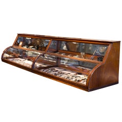 Antique Victorian Walnut Display Counter Top