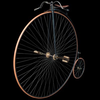 "The Royal" 19th Century English Big Wheel Bicycle at 1stDibs | 19th