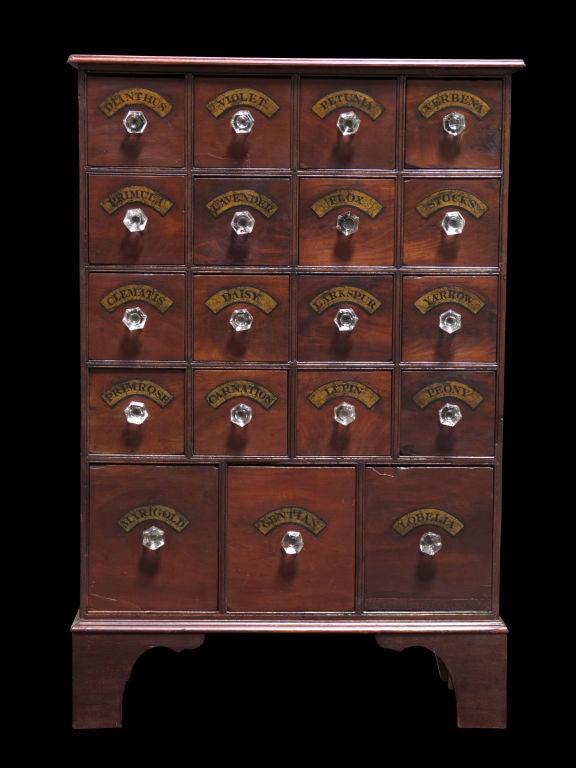 English Flower / Seed Bank of Drawers