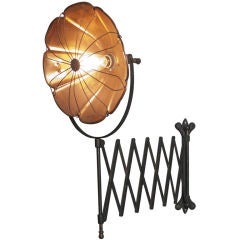 Floral Japanned Wall Mounted Industrial Scissor Light