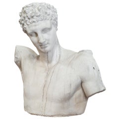 Plaster Bust Of Hermes