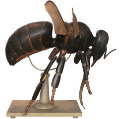 Anatomical Model Of A Bee