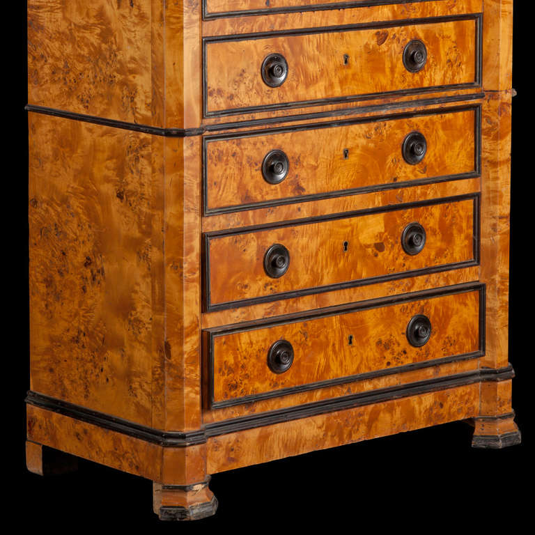 19th Century Burl Wood Chest of Drawers