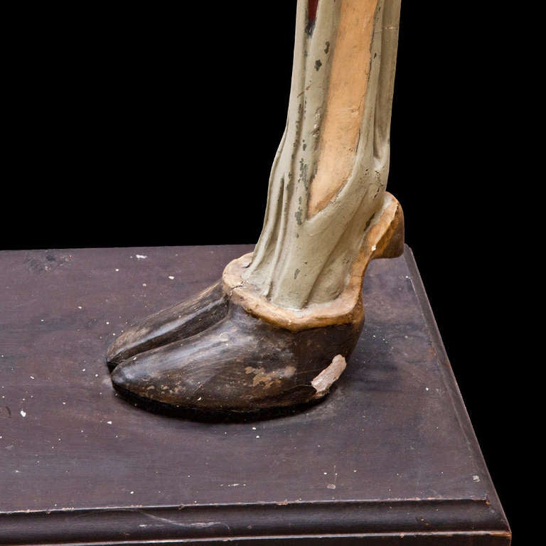 French Anatomical Model of Cow Leg