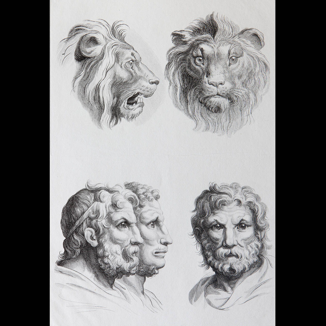 Beziehung zwischen der menschlichen Figur und der des Löwen