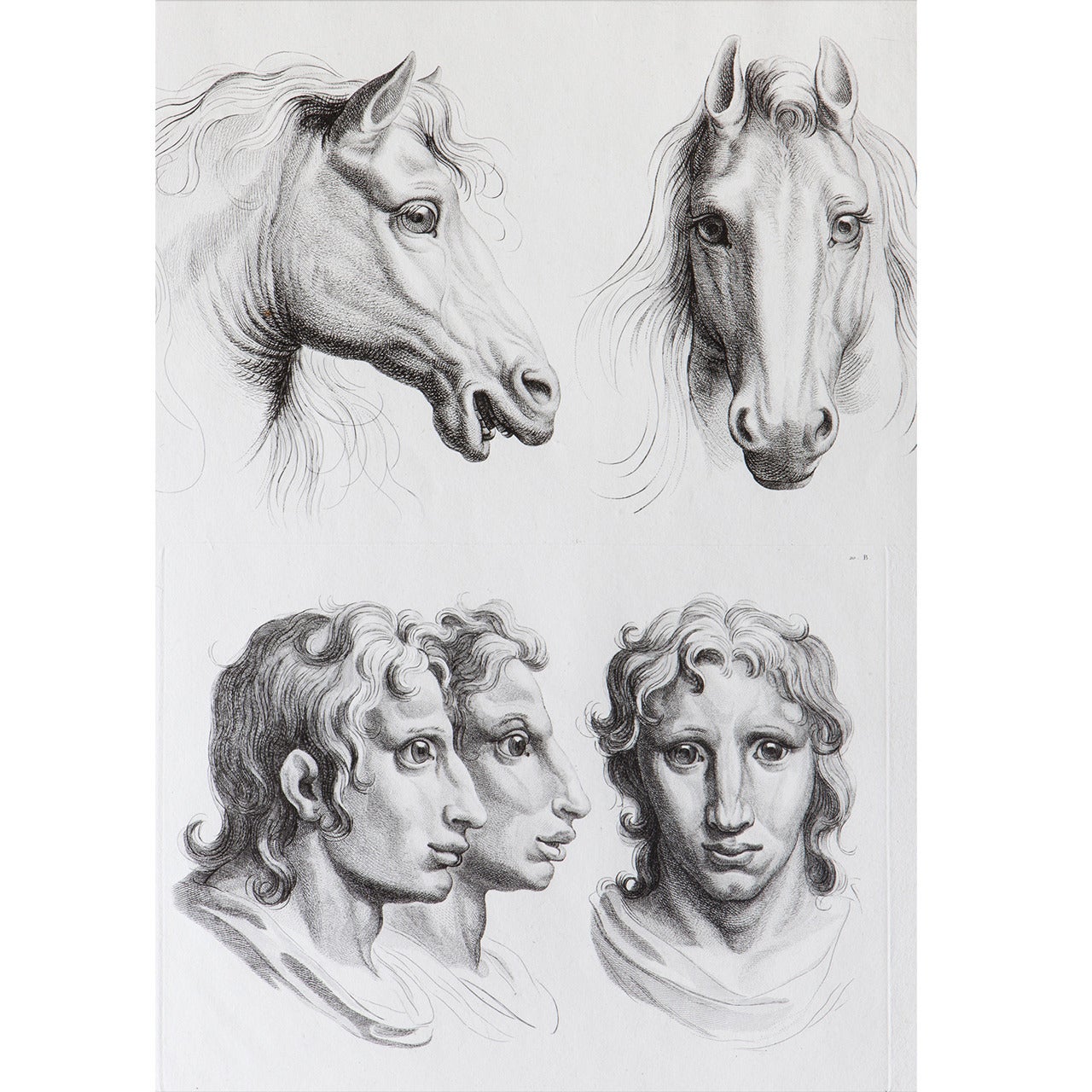 Relationship of the Human Figure with that of the Horse, Engraving