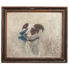 Study of Nenette the Jack Russell