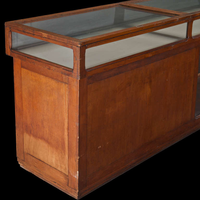 Monumental Science Museum Display Case