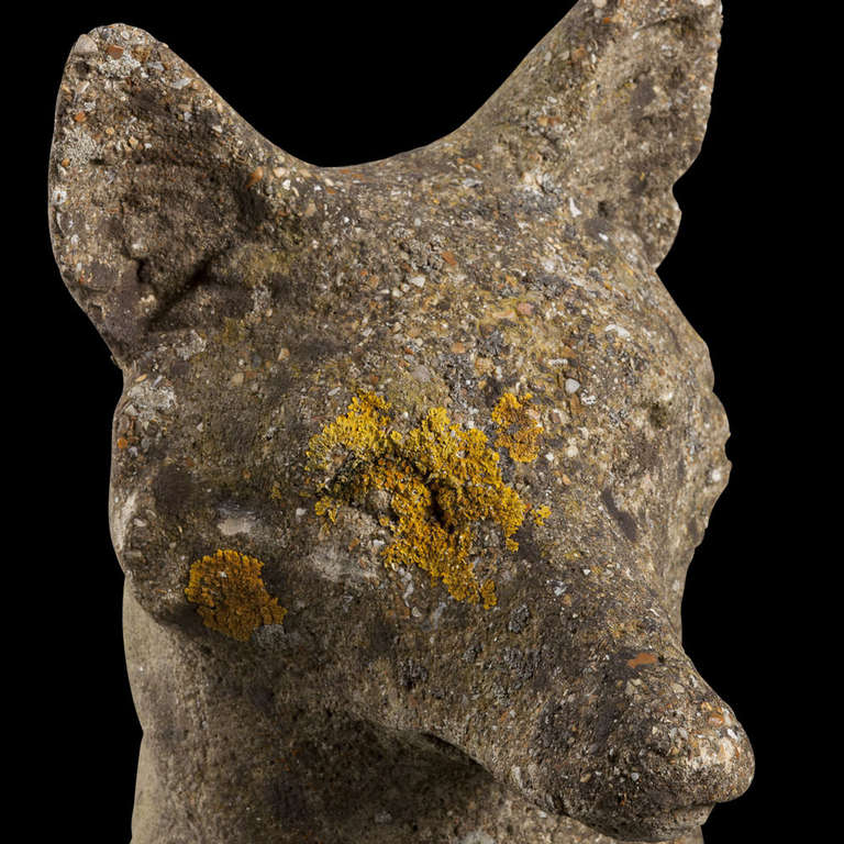 20th Century Pair of Stone Foxes