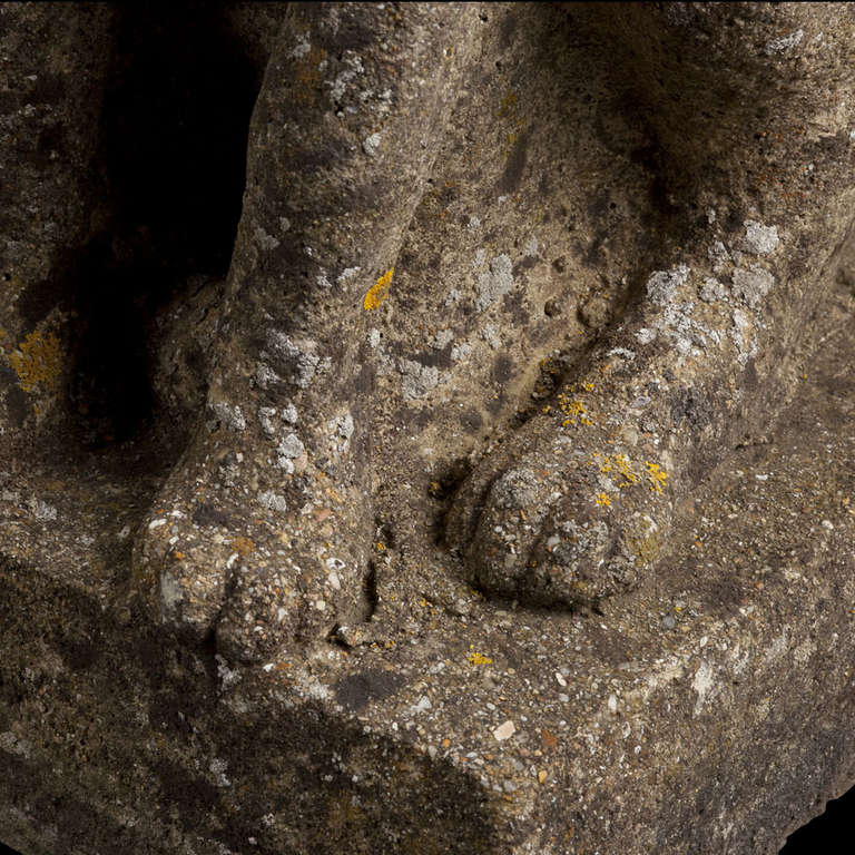 Pair of Stone Foxes 1