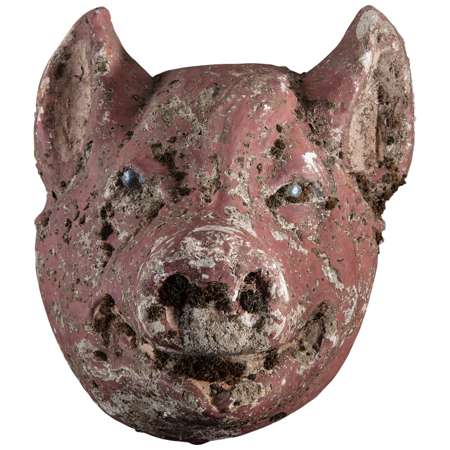 Concrete Animal Head